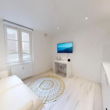 Modernes Avec Veranda Straßburg